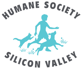 Humane Society Silicon Valley