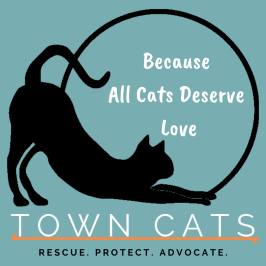 Town Cats of Morgan Hill