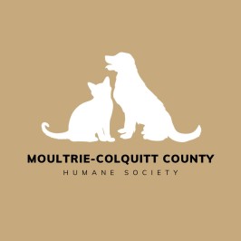 charity logo