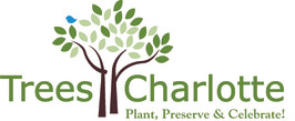 Treescharlotte