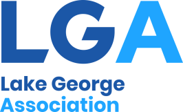 LAKE GEORGE ASSOCIATION INC