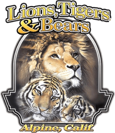 Lions Tigers & Bears