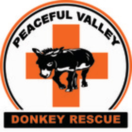 Peaceful Valley Donkey Rescue