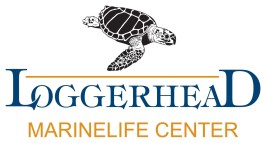 Loggerhead Marinelife Center Inc.