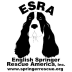 English Springer Rescue America