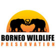 Borneo Wildlife Preservation