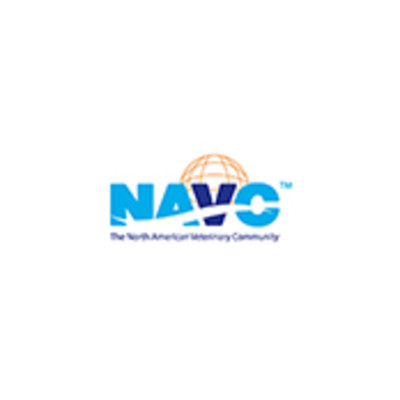 Navc Logo North Atlanta Volleyball Club (NAVC) Announces Tryouts Girls