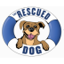 Rescued Dog