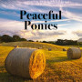 Peaceful Ponies