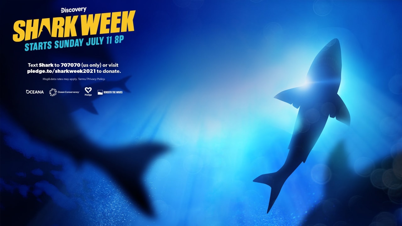 Shark Week 2021 Pledge