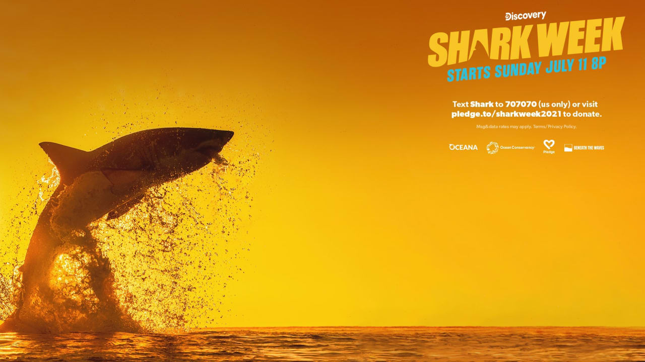 Shark Week 2021 Pledge