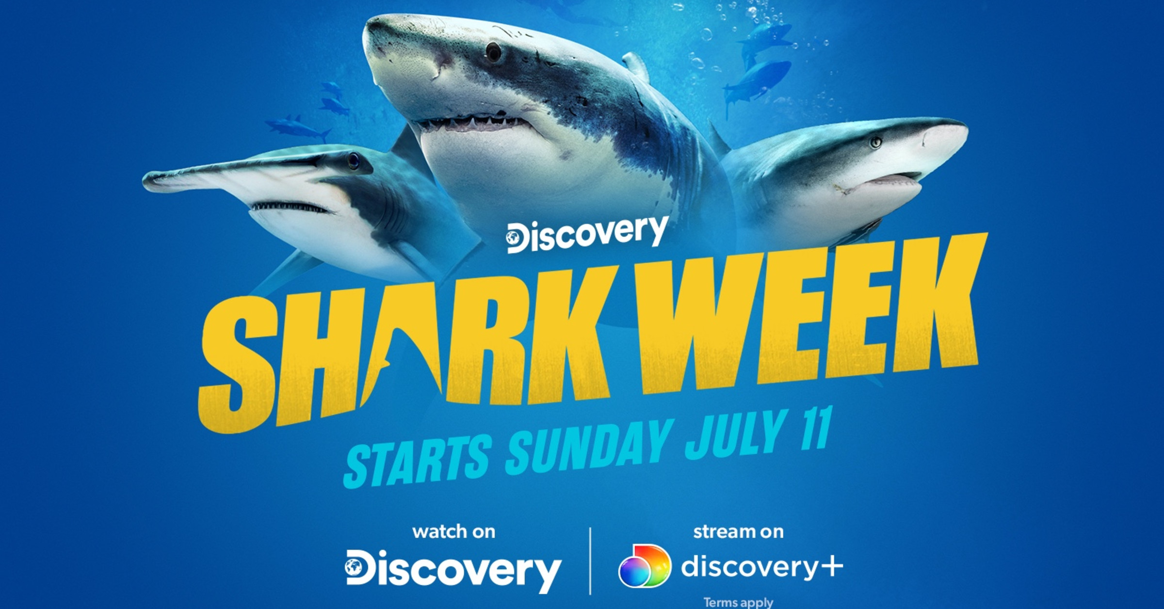 Shark Week 2024 Dates Orly Lillis